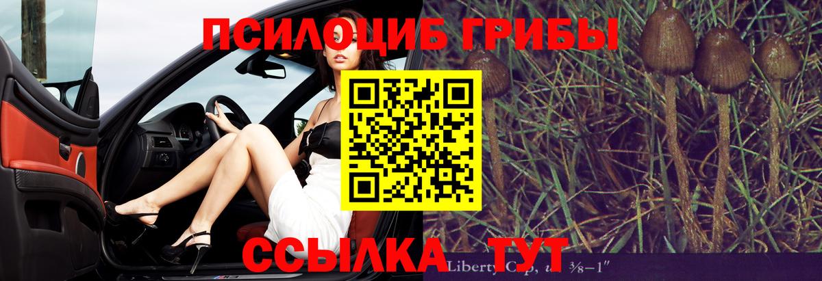 Галлюциногенные грибы мухоморы Кушва